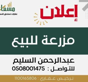 مزرعة الجفر “الأحساء” -مسعاك