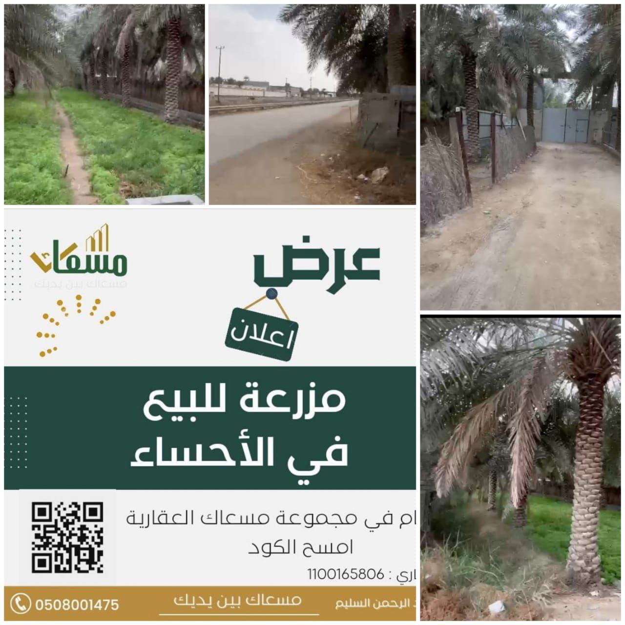 مزرعة في الشعبة على صرف دي وان -مسعاك